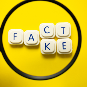 Spiel mit Wirkung: Wie „Fakt oder Bewertung?“ Familien näherbringt und Achtsamkeit fördert