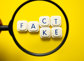 Spiel mit Wirkung: Wie „Fakt oder Bewertung?“ Familien näherbringt und Achtsamkeit fördert