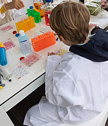 Science Festival Frankfurt 2026