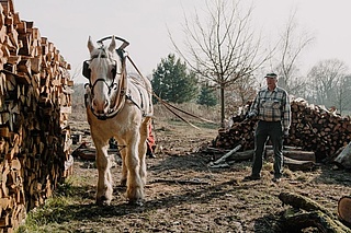 Waldarbeit und Pferdeschweiß