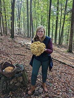 Pilzwanderung