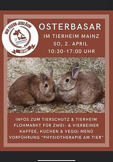 Osterbasar im Tierheim Mainz