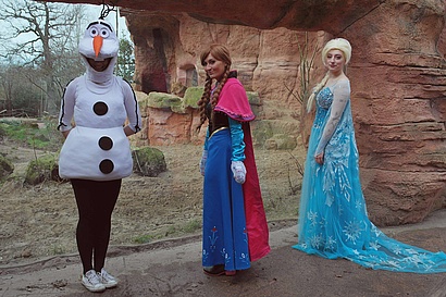 Elsa, Anna und Olaf