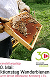 Familienerlebnis in Kronberg: Ein Tag mit den Wanderbienen