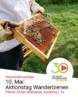 Familienerlebnis in Kronberg: Ein Tag mit den Wanderbienen