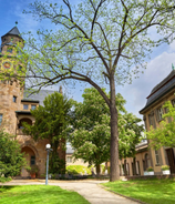 Liebieghaus Skulpturensammlung