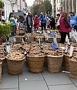Bad Homburger Erntedankmarkt