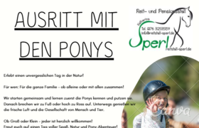 Ausritt mit den Ponys