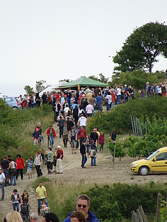 Bechtolsheimer Weinwanderung