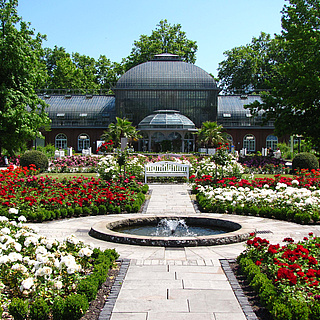 Tropen und Subantarktis: Palmengarten öffnet Schauhäuser