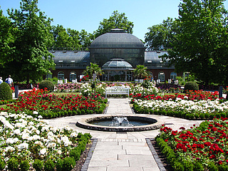 Palmengarten Frankfurt