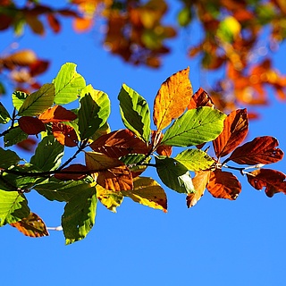 Noch freie Plätze im Herbst- und Winterferienprogramm