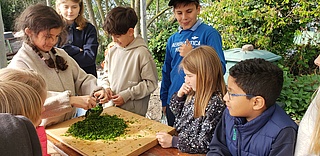 Frankfurter Schüler entdecken die Grüne Sosse