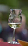 Rüsselsheimer Weinfest