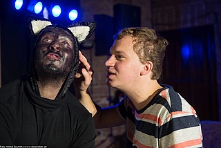 Ein Kater schwarz wie die Nacht