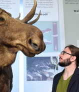 Senckenberg Museum Frankfurt