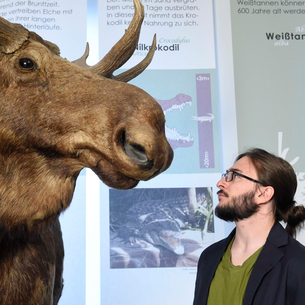 Senckenberg Museum Frankfurt