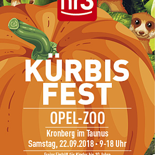 hr3 Kürbisfest im Opel Zoo