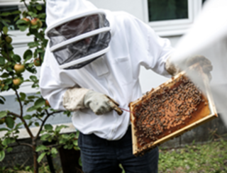 Neues Museum für Bienen