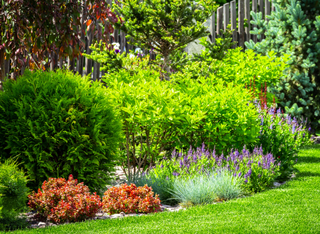 Ein Garten für Eidechsen, Wildbienen und Co.