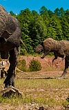 Dinosaurierland
