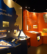 Naturhistorisches Museum Mainz