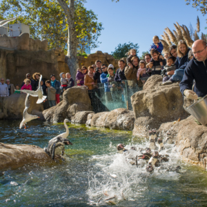 Freier Eintritt für Auszubildende in die städtischen Museen und den Zoo Frankfurt