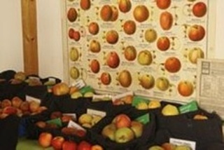 Apfelmarkt 