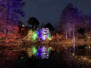 Winterlichter im Palmengarten