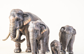 Der Elefant im Porzellanladen -Tierische Redewendungen