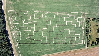 Maislabyrinth Rüdesheim