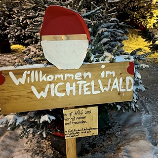 Neue Heimat für Tannenbäume des Wiesbadener Kinder-Sternschnuppenmarktes