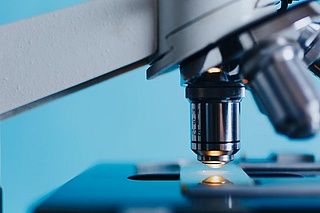 Forschungsstation: Die Vielfalt unter dem Mikroskop – Winzige Wunderwelt