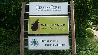 Wild im Park – Ferienspiele für Hanauer Kinder