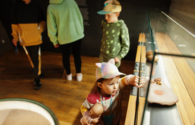 Biene Maja und ihre wilden Verwandten