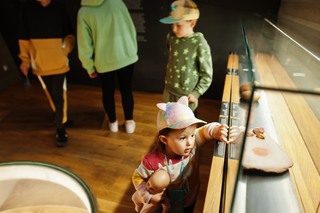 Biene Maja und ihre wilden Verwandten