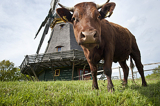 Freilichtmuseum Hessenpark