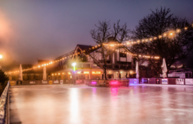Winterwelt auf dem Hofgut Laubenheimer Höhe