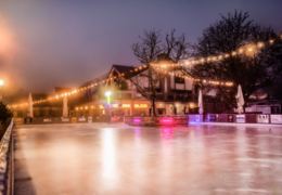 Winterwelt auf dem Hofgut Laubenheimer Höhe