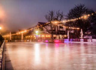 Winterwelt auf dem Hofgut Laubenheimer Höhe