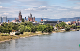 Naturschutzgebiet Mainzer Sand