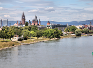 Naturschutzgebiet Mainzer Sand
