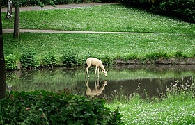 Familientag im Naturpark RheinTaunus: Entdecke die faszinierende Tierwelt!