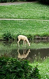 Familientag im Naturpark RheinTaunus: Entdecke die faszinierende Tierwelt!