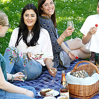 Picknick beim Museumsuferfest