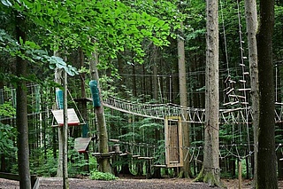 Tagesfahrt zum Kletterpark Hallgarter Zange