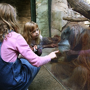 160 Jahre Zoo Frankfurt