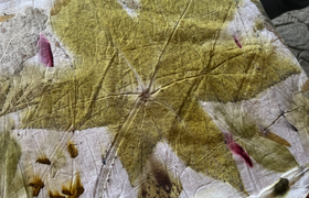 Färben mit Natur-Materialien