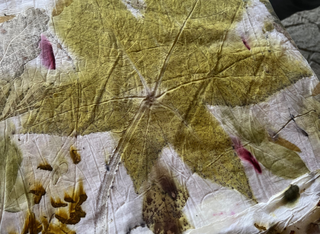 Färben mit Natur-Materialien