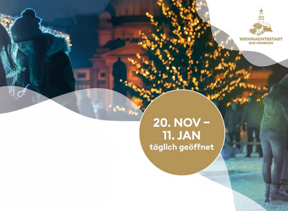 Eiswinter / Bad Homburg